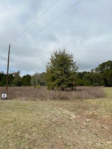 Lot 19 Berry Manor Ln, Edisto Island, SC 29438