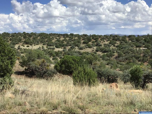 Lot 3 Highway 15, Silver City, NM 88061