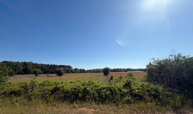 Singletary Rd, Slocomb, AL 36375