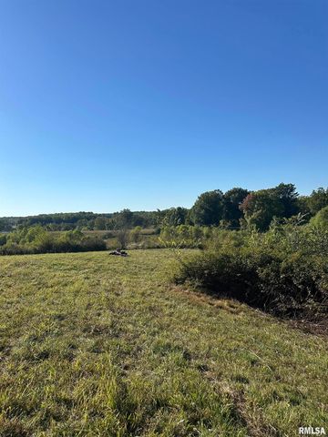 Center Church Rd, Villa Ridge, IL 62996