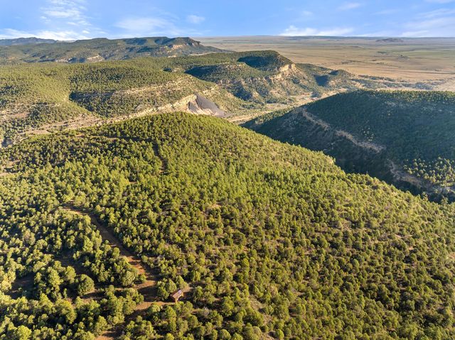 Tollerburg Rd, Trinidad, CO 81082
