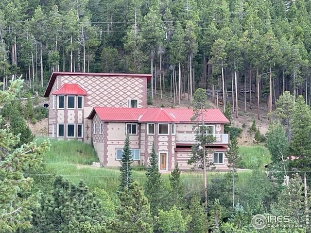 8 Valley View Dr, Nederland, CO 80466