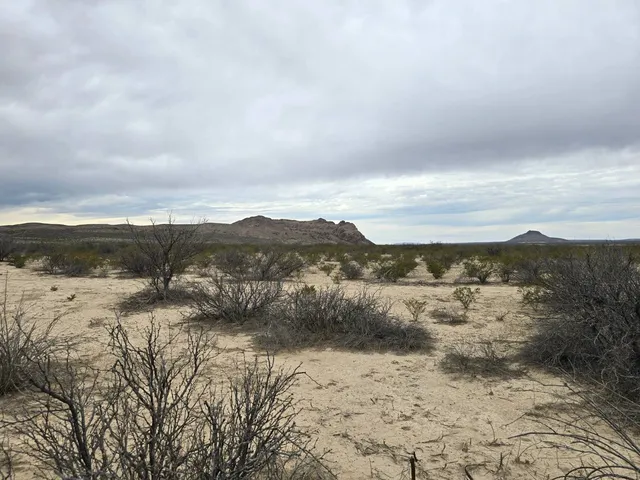 670 Avid Ln, Terlingua, TX 79852