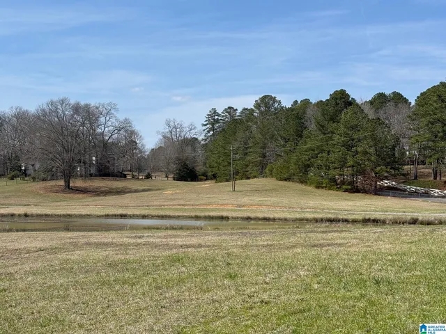 7526 Sedgefield Dr #2B-2C, Morris, AL 35116