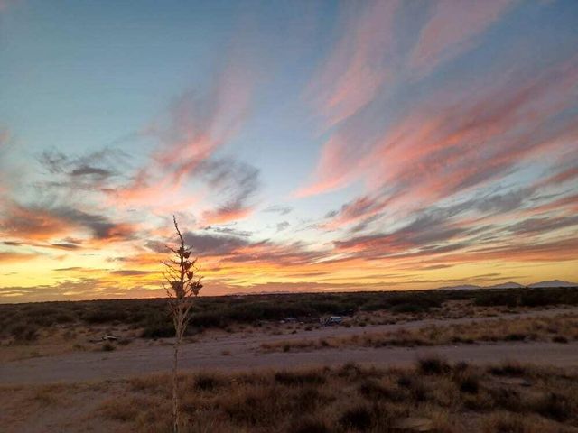 Forest Hill Ave, El Paso, TX 79928