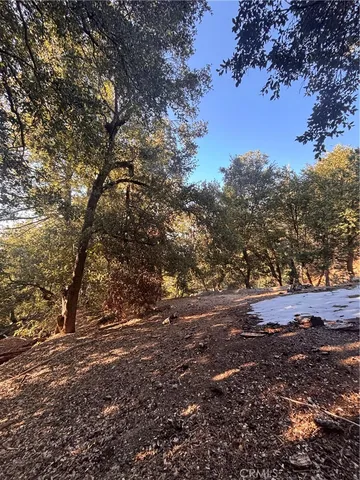 North Rd #1, Twin Peaks, CA 92391