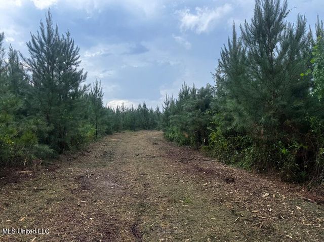 State Highway 540, Braxton, MS 39044