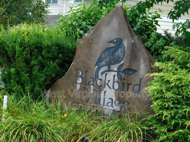 198 Blackbird Village Cir, Lewisburg, WV 24901