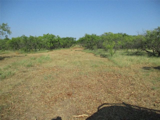 Township Road 2, Bowie, TX 76230