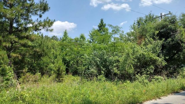 Lot  Two Meagen Ln, Manning, SC 29102