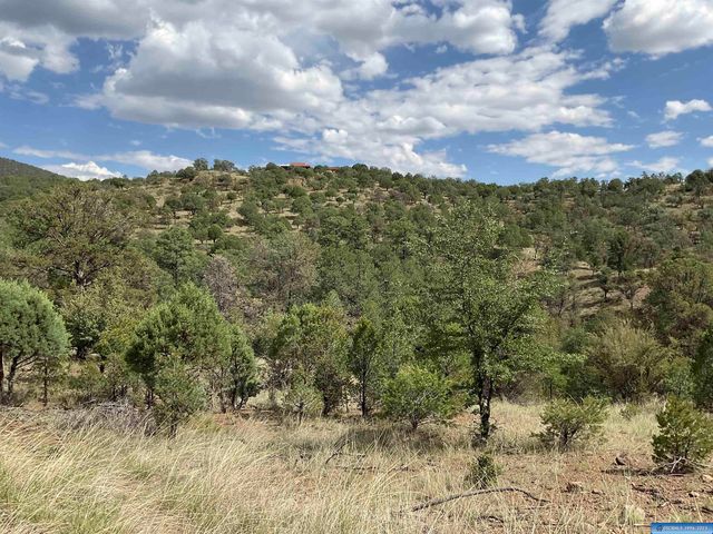 78 Everest Point Rd #78, Silver City, NM 88061