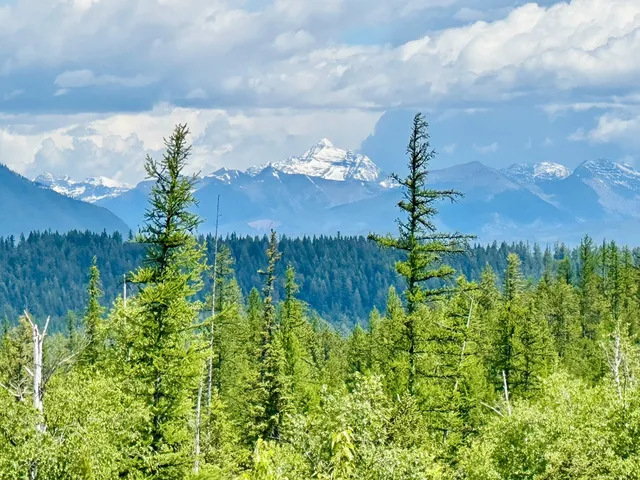 Nhn Glacier Hills Dr, Martin City, MT 59926