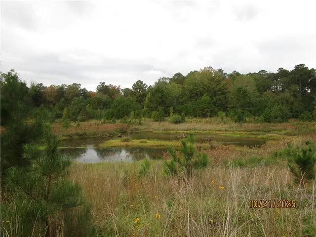 740 Mary Barron Rd, Pollock, LA 71467