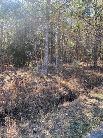 Lot 1 Alyson Ave NW, Fort Payne, AL 35968