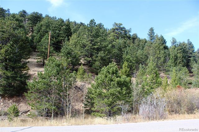 15200 Indiana Gulch Road  Lot 18938, Ward, CO 80481