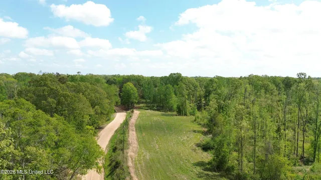 Stevens Rd, Bentonia, MS 39040