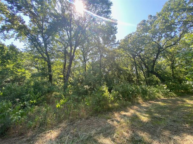 TBD 60 acres  RS Country Road 4452, Point, TX 75472