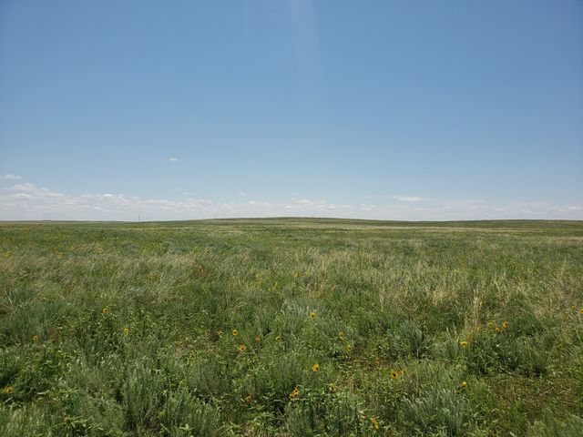 County Road 49, Akron, CO 80720