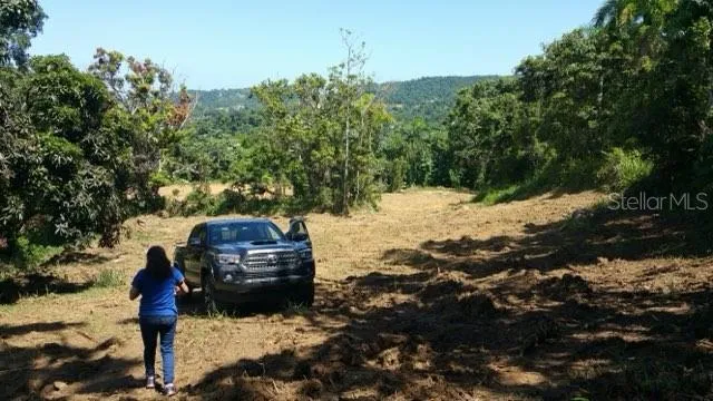 BO JIMENEZ CARR 966 KM 2.8 INT, Rio Grande, PR 00745