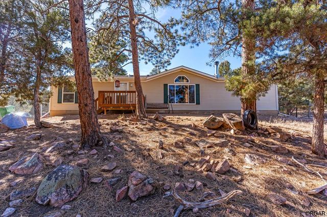 662 12th Trl, Cotopaxi, CO 81223