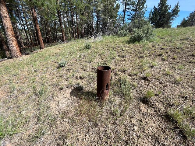 Lot 25 Chipps Ct, Chiloquin, OR 97624