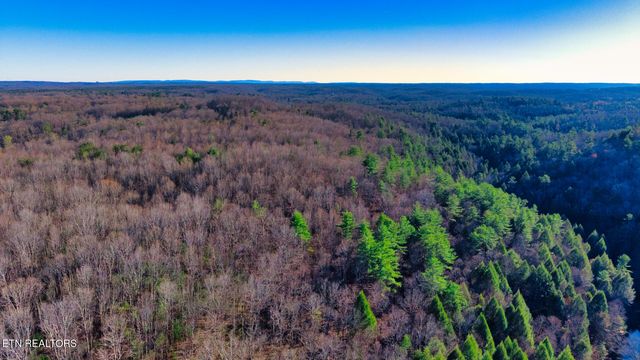 7 Ervin Brown Rd #7, Sunbright, TN 37872