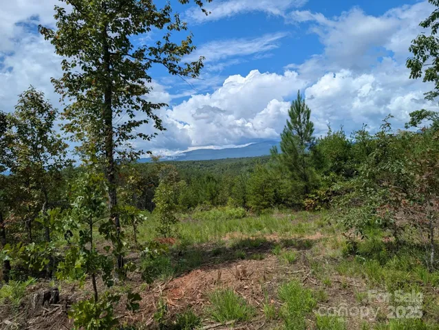 3 Price Summit Way, Mill Spring, NC 28756