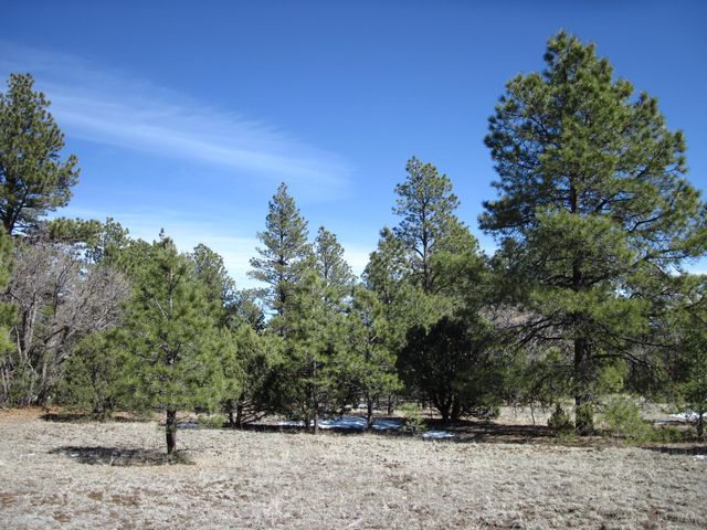 275 Forest Ave, Mountainair, NM 87036