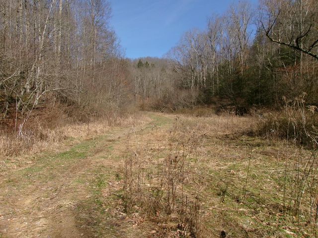 Twin Branch Rd, Pineville, WV 24874