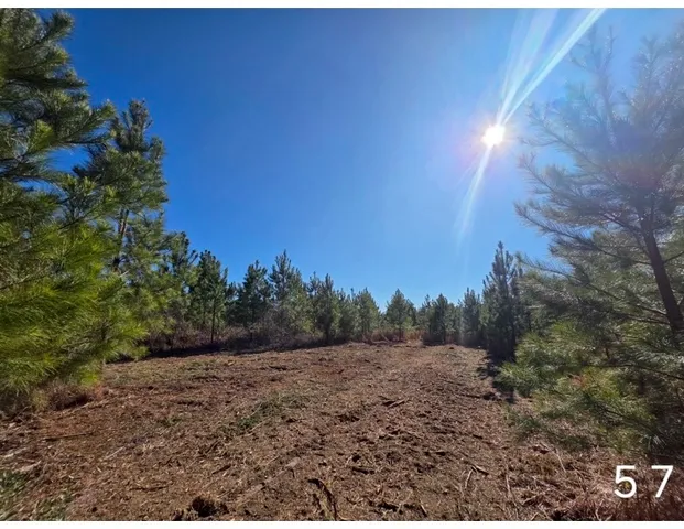 Chestnut Rd, Slocomb, AL 36375