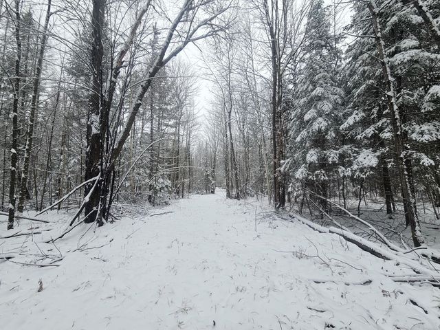 Eagle River, WI Homes For Sale & Real Estate