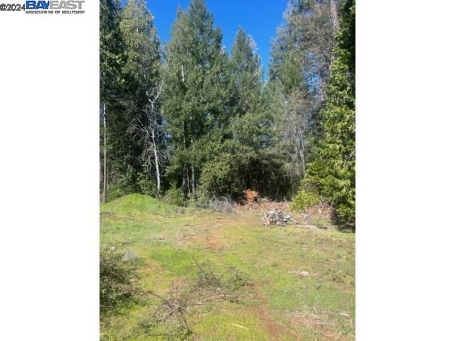 Foresthill Rd, Foresthill, CA 95631