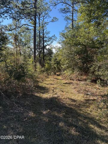 Lot 21 Grassy Pond Rd, Chipley, FL 32428