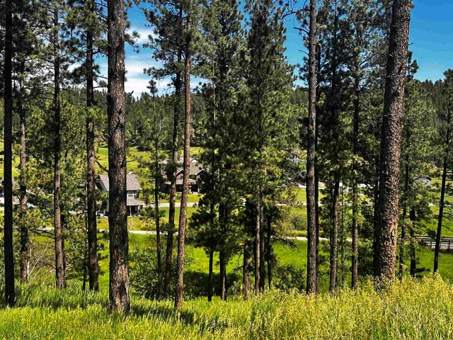 5 Sunset View Ct, Hill City, SD 57745