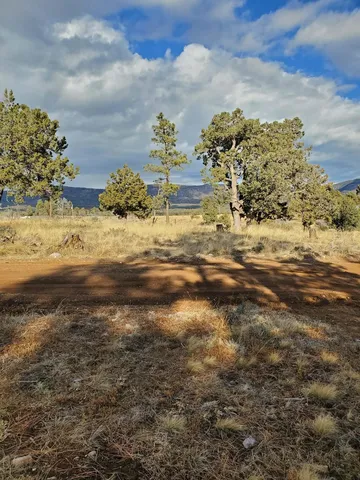 Pawhuska Dr, Timberon, NM 88350