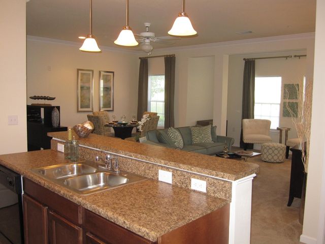 2670 Dry Pocket Rd #518, Greer, SC 29650