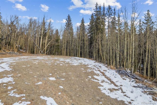 131 Aspen Street LOT 26, Alma, CO 80420