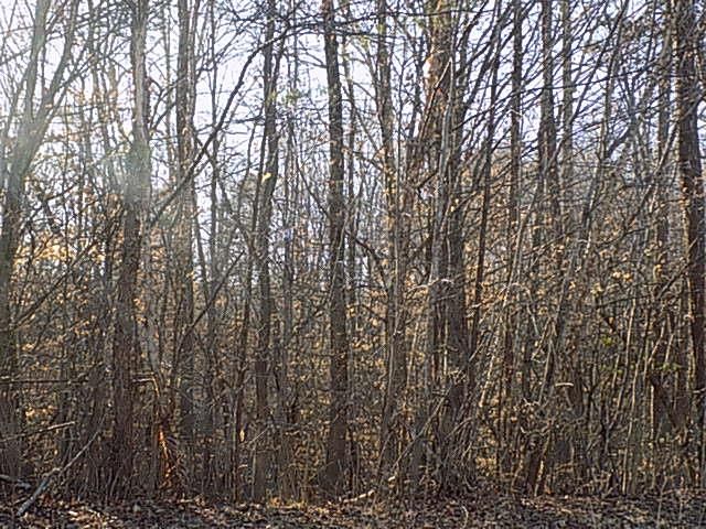 9 Grandimere Dr, Danville, VA 24541