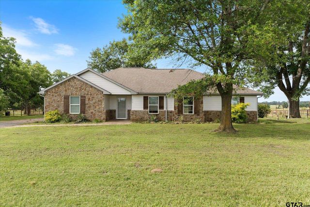 610 Vz County Road 4607, Ben Wheeler, TX 75754