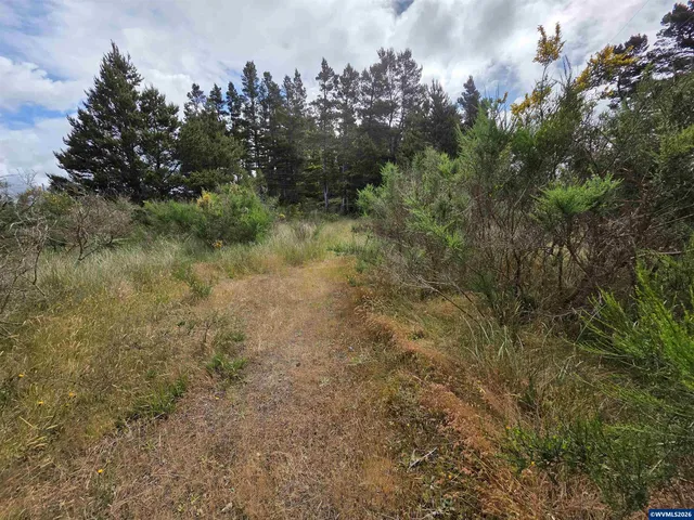 Lot 100 Highway 101, Florence, OR 97439