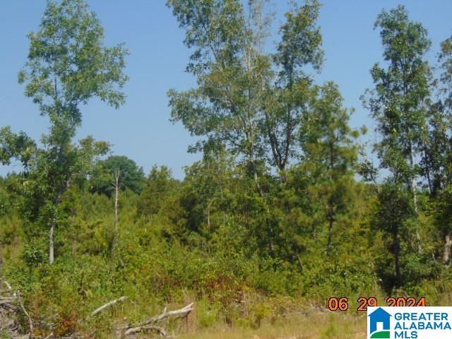 County Road 447 #1, Verbena, AL 36091