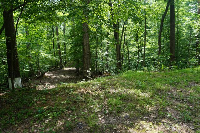 Lot 732 Mossy Hollow Rd, White Pine, TN 37890