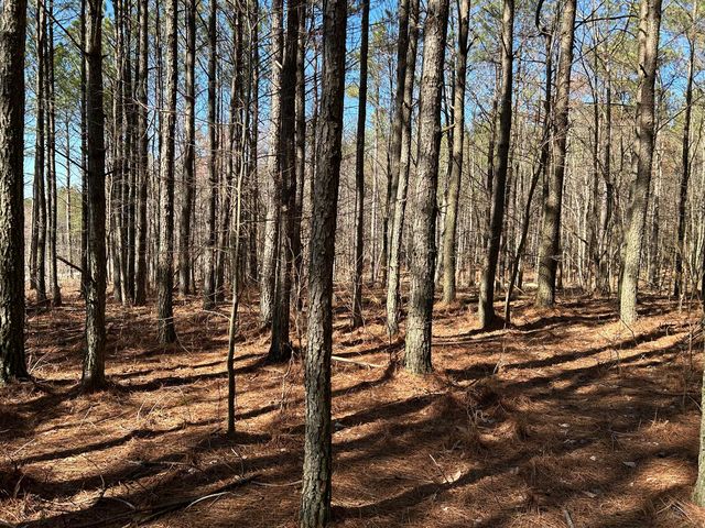 4210 Raulston Falls Rd #JF-118, Jasper, TN 37347