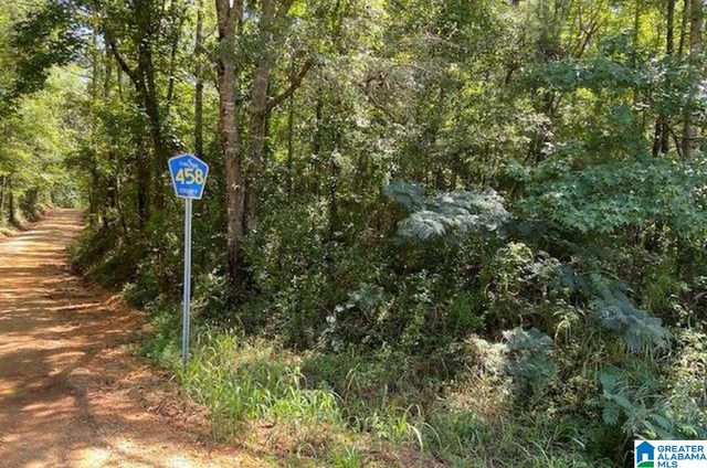 County Road 458 Rd #1, Clanton, AL 35046