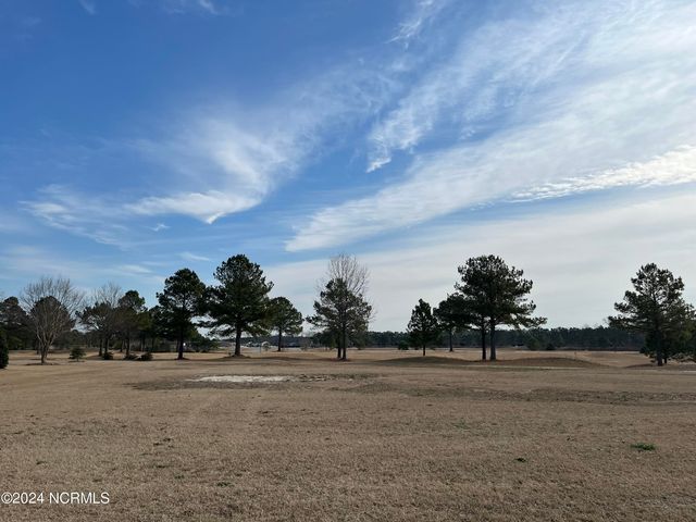 175 Weeping Willow Court LOT 175, Snow Hill, NC 28580