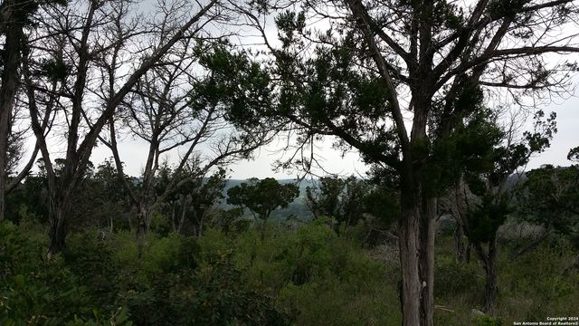 220 private road 1717 LOT 220, Mico, TX 78056