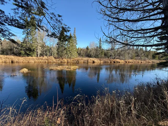 00 Bellfield Road, Wytopitlock, ME 04497