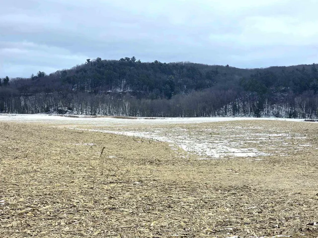 137 Acres Morrissey Road, Mauston, WI 53948