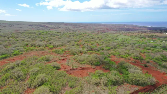 Kalua Koi Rd #38, Maunaloa, HI 96770