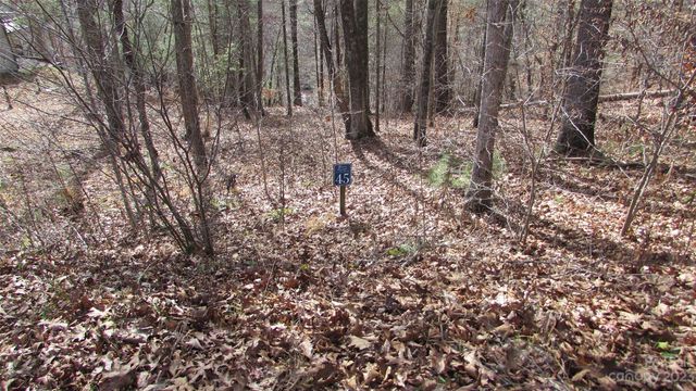 High Peak Dr #45, Burnsville, NC 28714